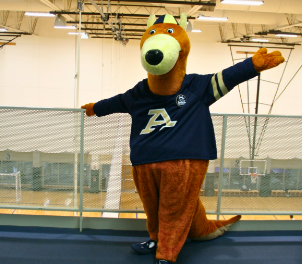 Zippy on the Track